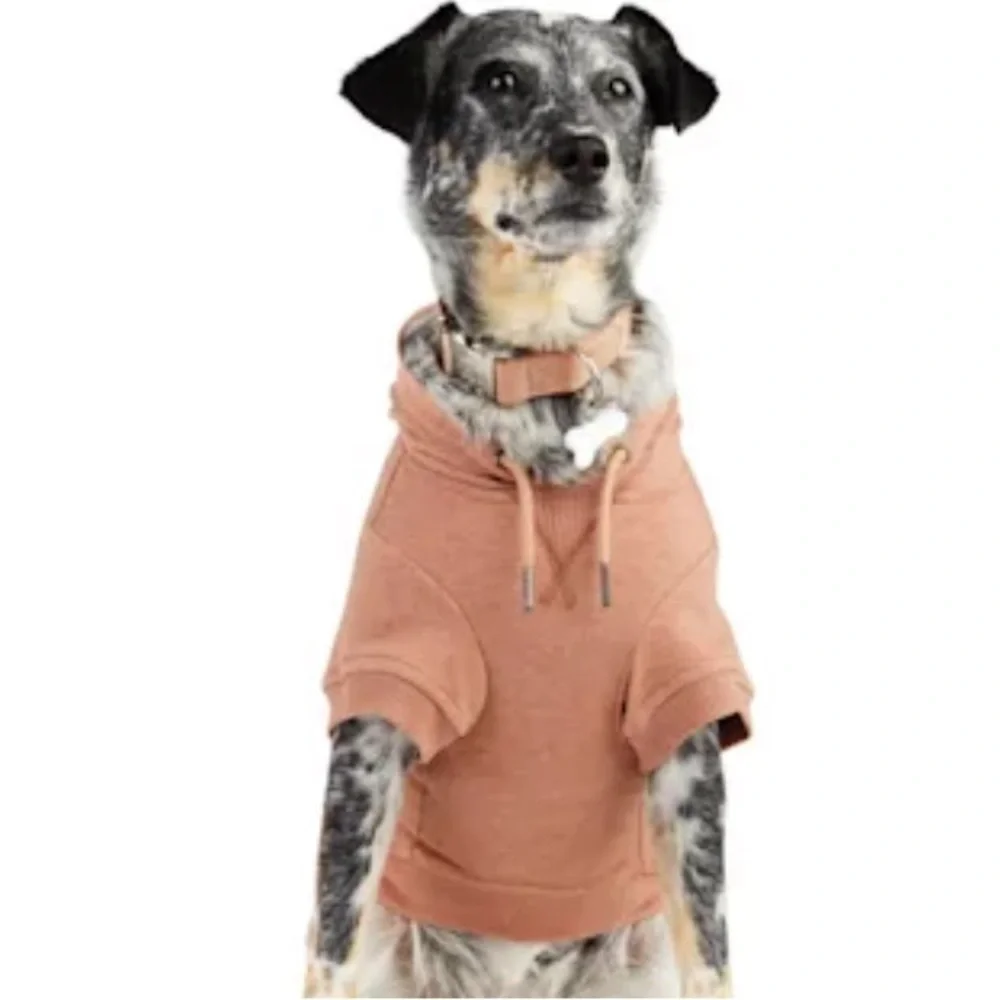 NWT Best Friend Ever Dog Hoodie S